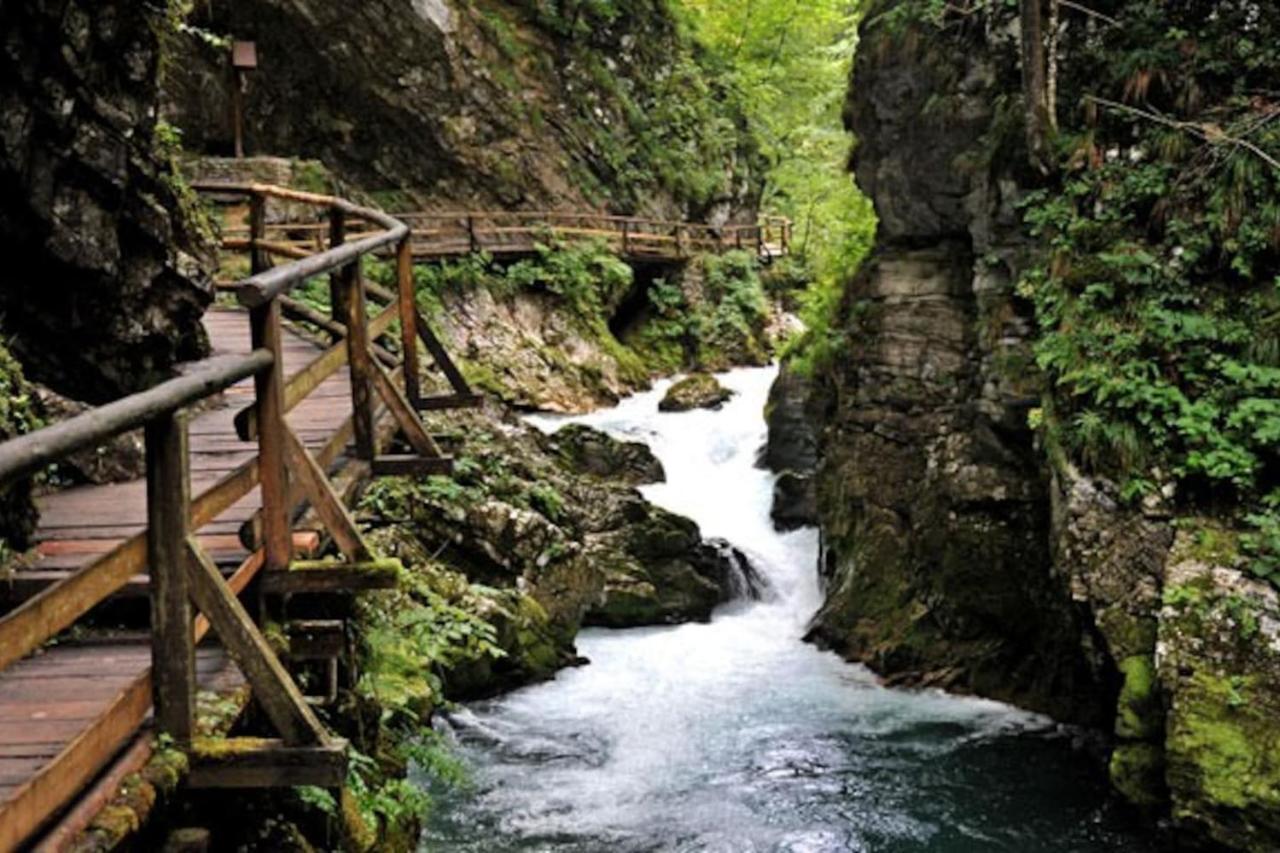 Guesthouse Schoba Typ D Kirchbach  Zewnętrze zdjęcie